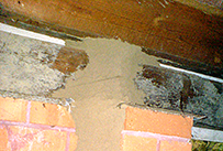 Termites Found in Sub-Floor